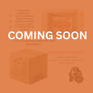 Tilly’s Beyond Complete Frozen Raw Dog Food 5 kg